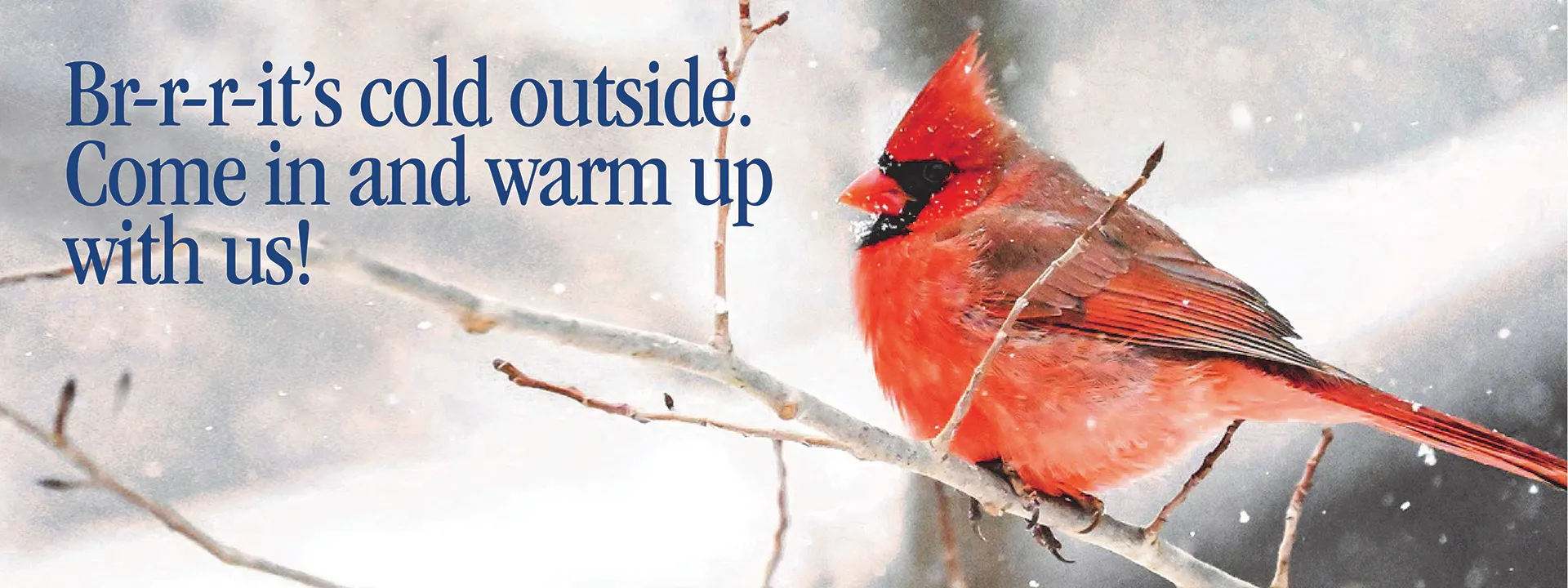 Br-r-r-it's cold outside.  Come in and warm up with us!