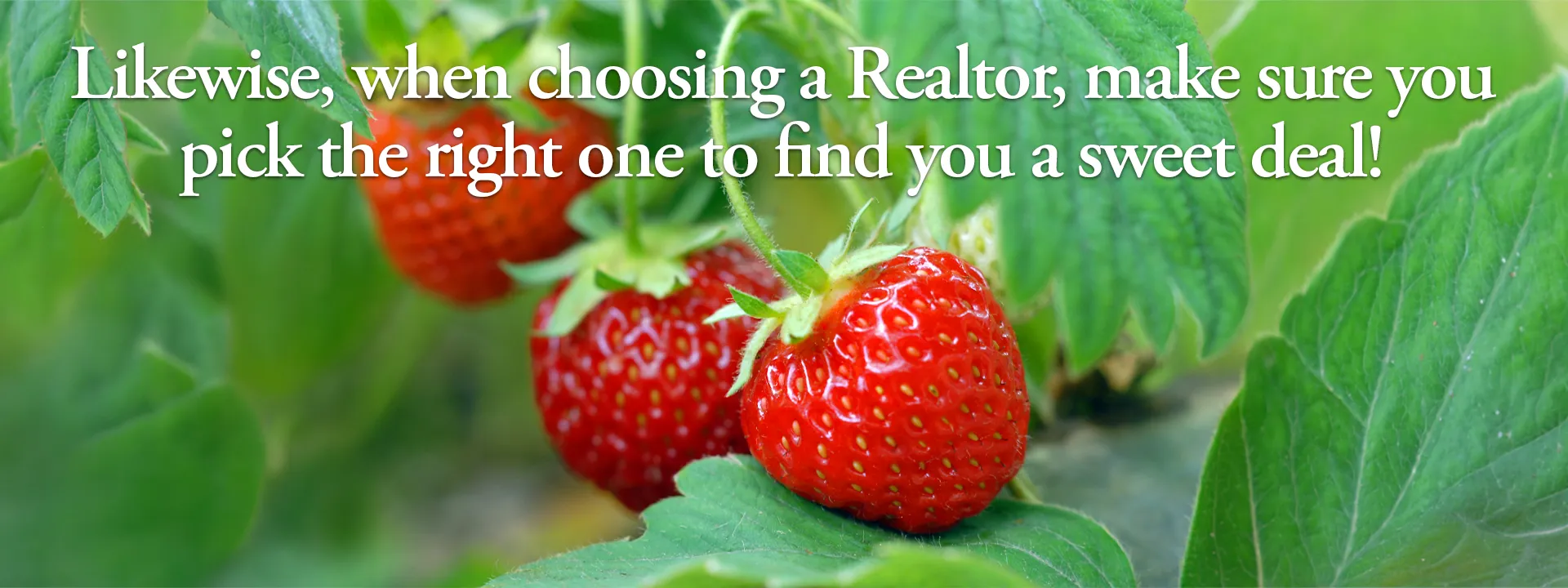 Likewise, when choosing a Realtor, make sure you pick the right one to find you a sweet deal!